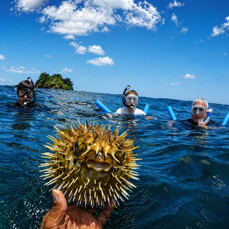 Family snorkeling tour in Tamarindo waters observing marine life