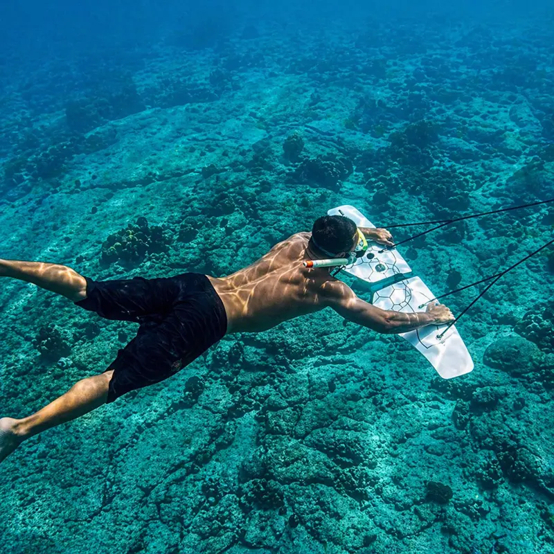 Underwater view of snorkeling and water sports in pristine Guanacaste reef